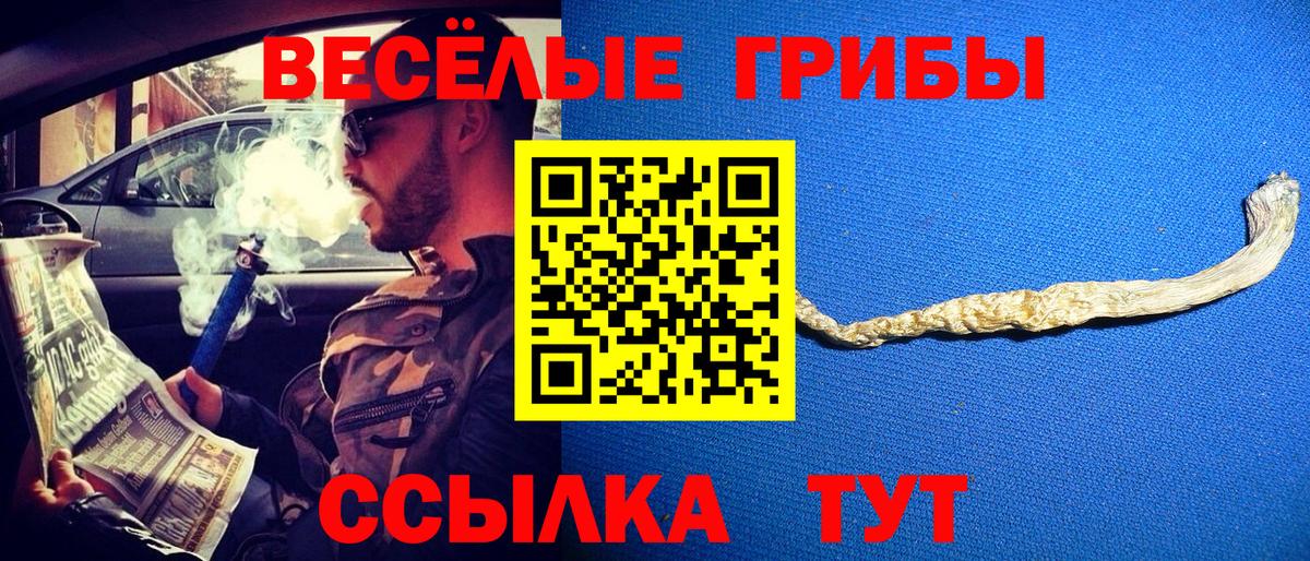 Галлюциногенные грибы Psilocybine cubensis  Вход с VPN  Щёлково  Галлюциногенные грибы Psilocybe 